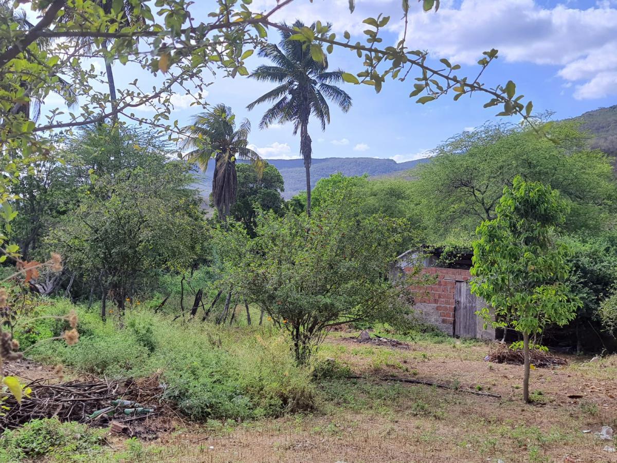 Terreno, 3750 m² - Foto 4