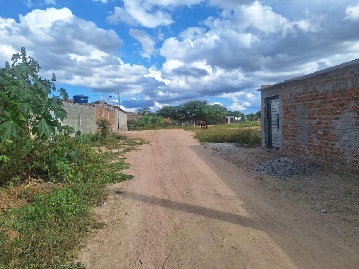 Terreno, 2500 m² - Foto 4