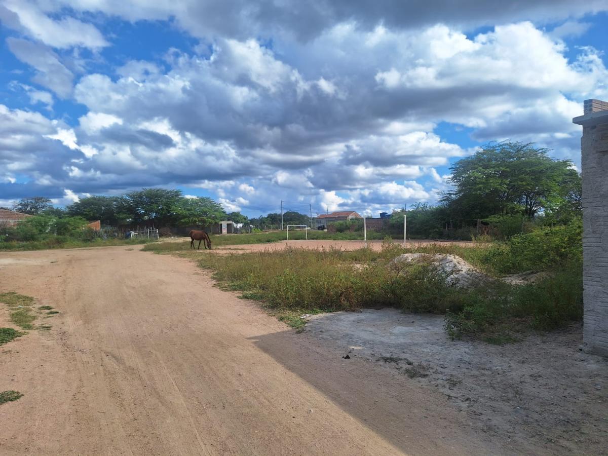 Terreno, 2500 m² - Foto 5