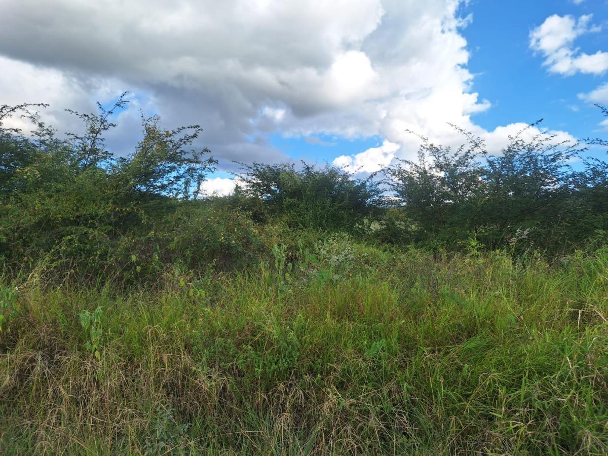 Terreno, 2500 m² - Foto 7