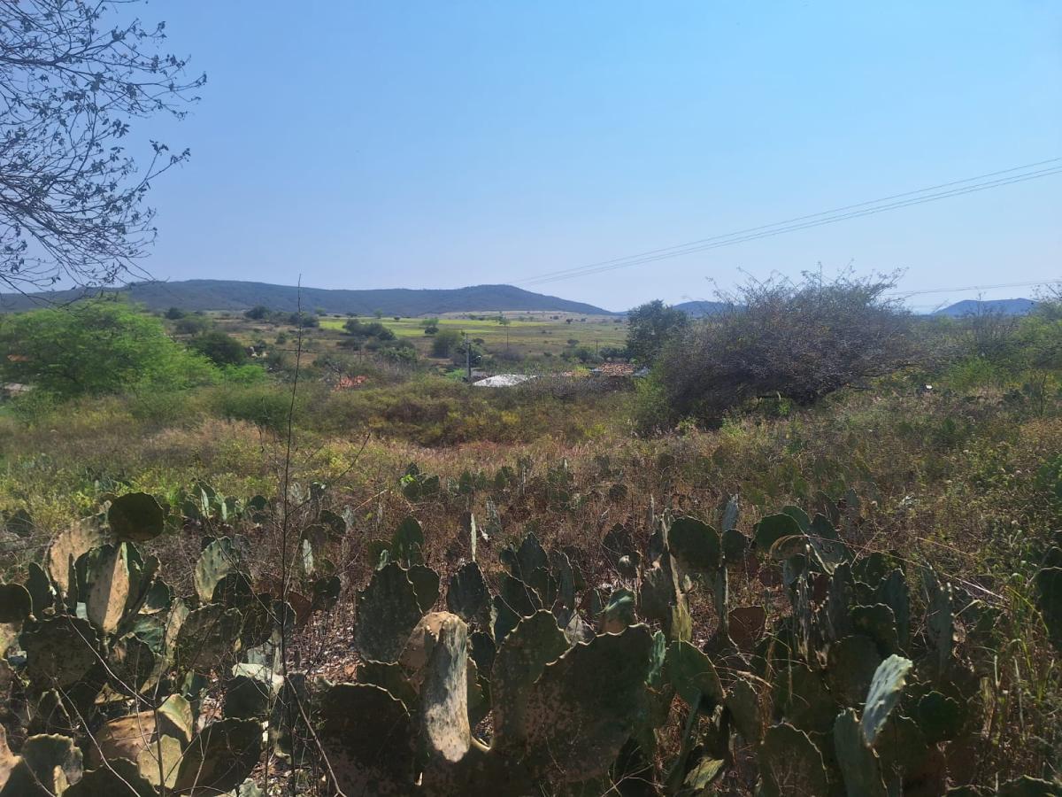 Sítio, 3 quartos - Foto 14