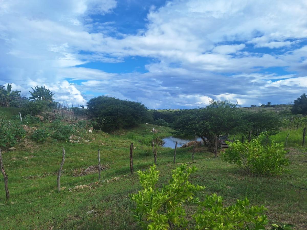 Sítio, 3 quartos, 5065 m² - Foto 26