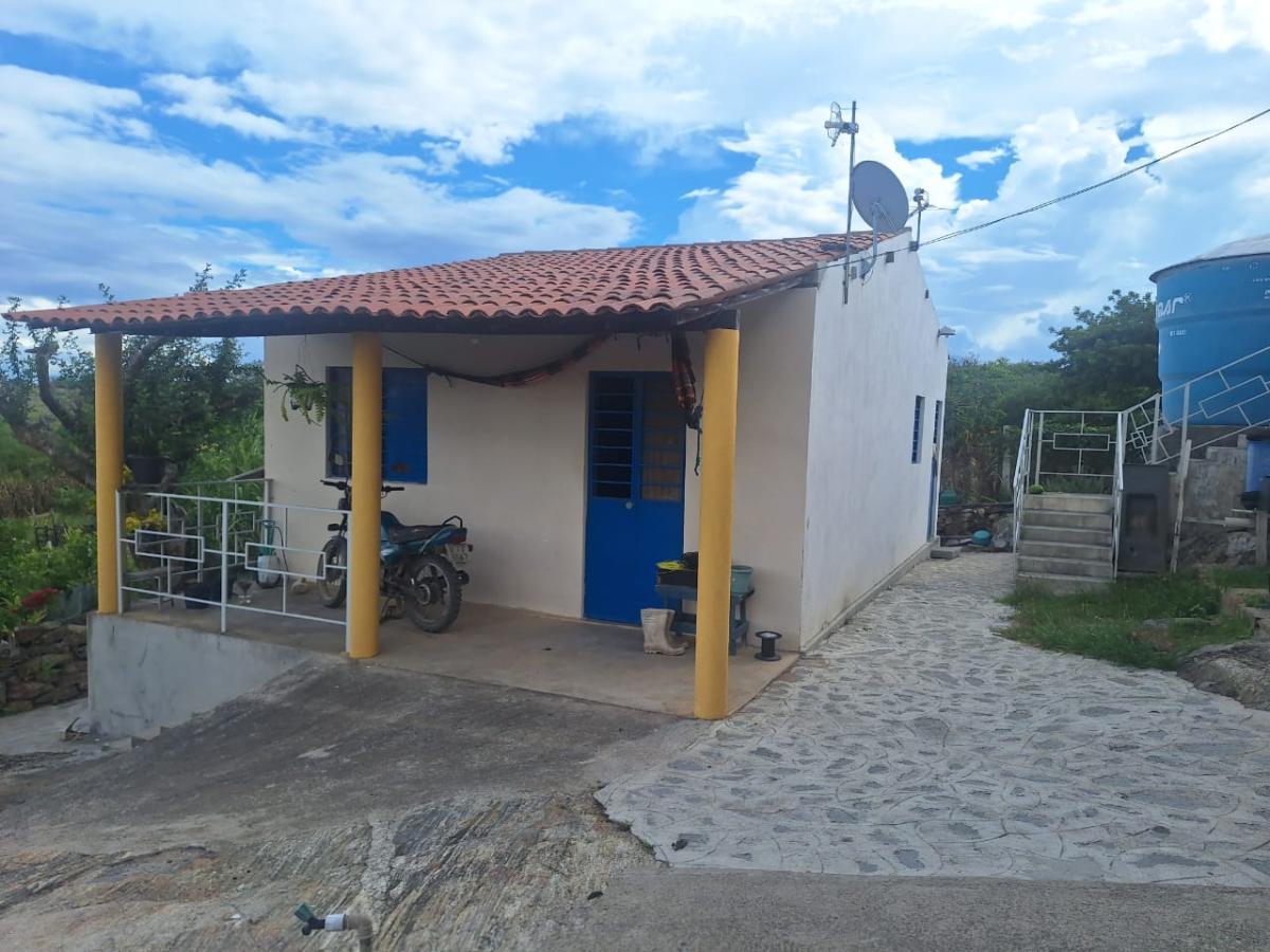 Sítio, 3 quartos, 5065 m² - Foto 22