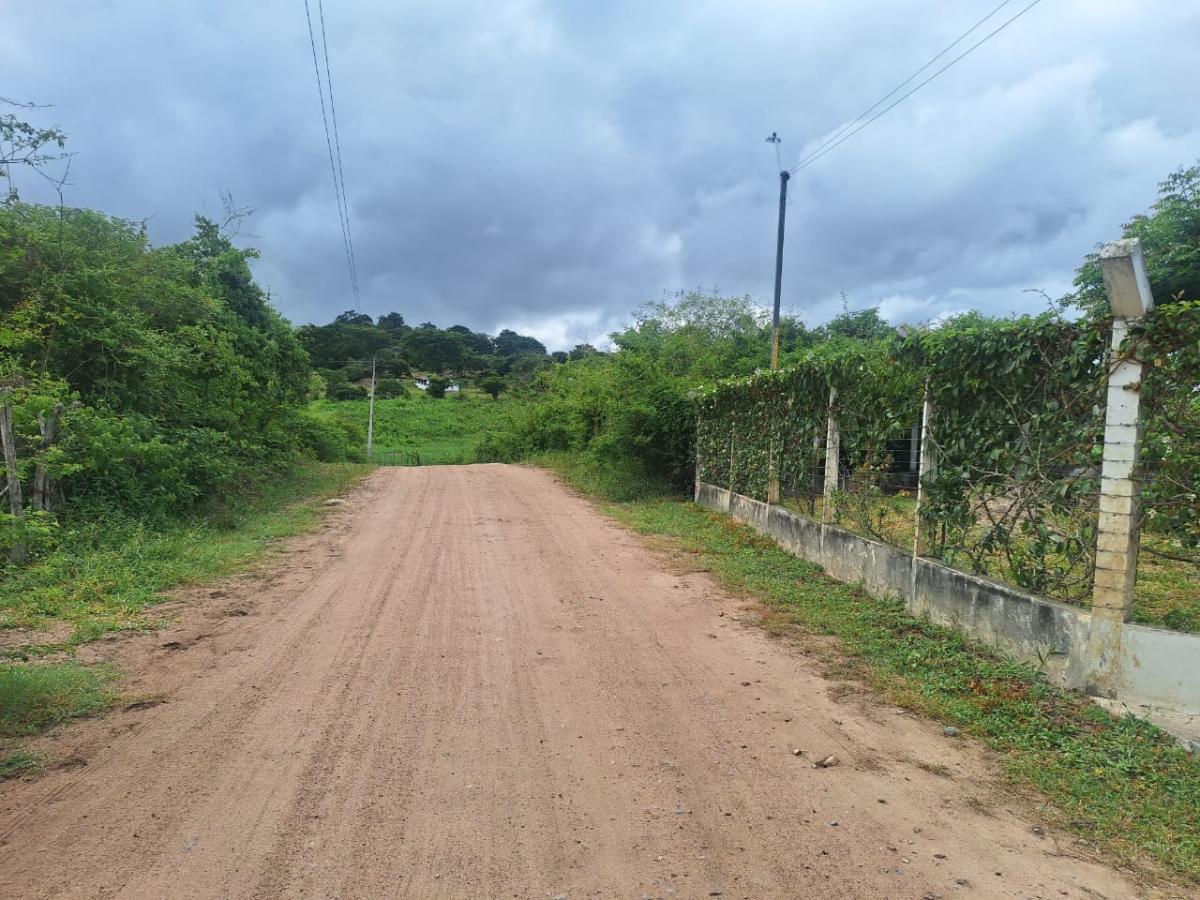 Sítio, 3 quartos, 5065 m² - Foto 34