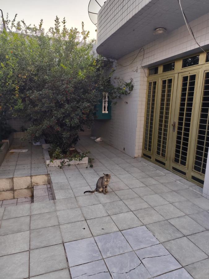 Casa, 12 quartos - Foto 4