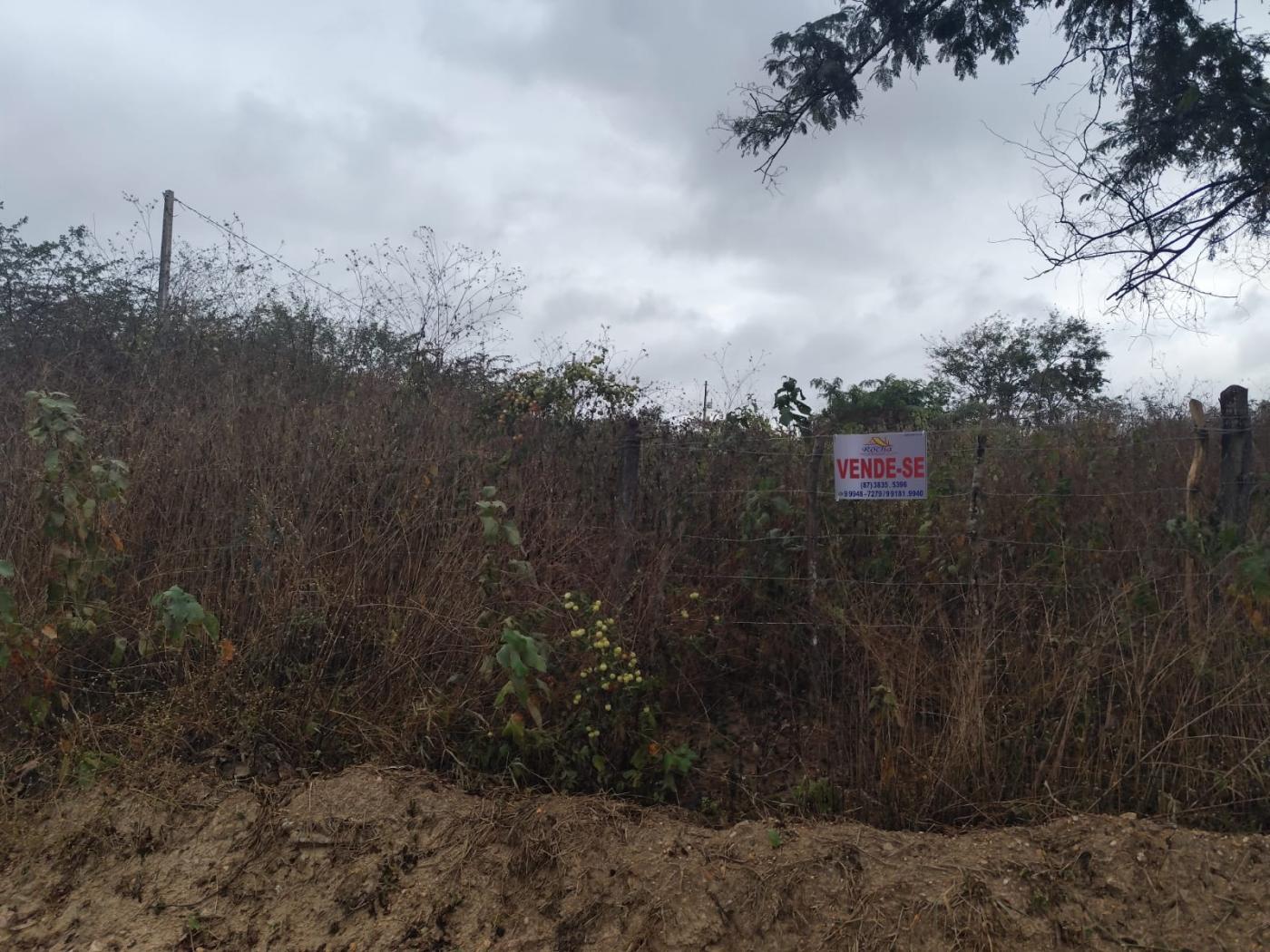 Terreno, 2500 m² - Foto 1