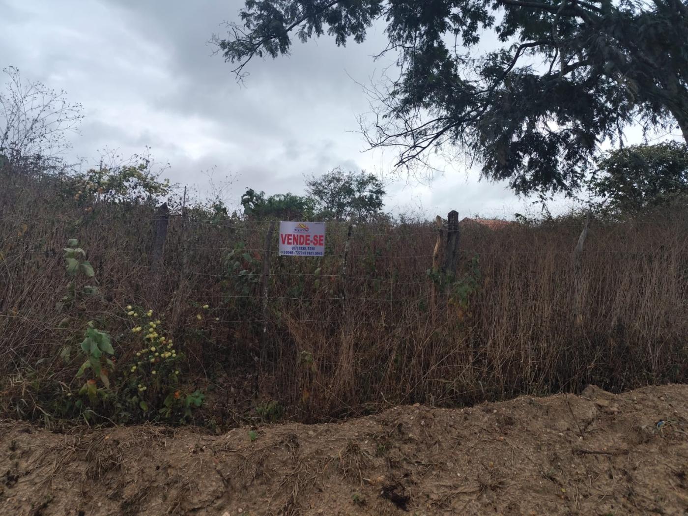 Terreno, 2500 m² - Foto 2