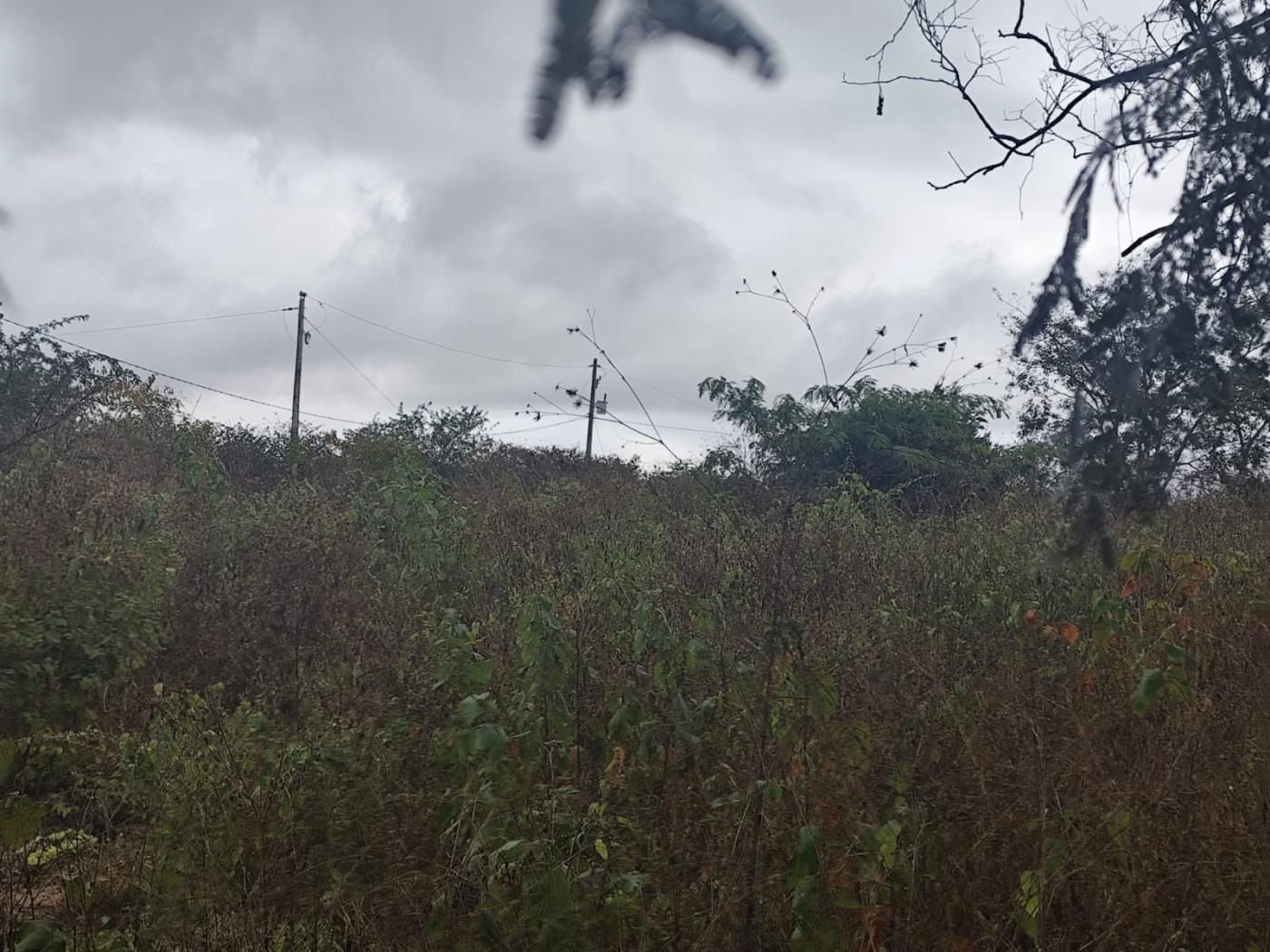 Terreno, 2500 m² - Foto 3