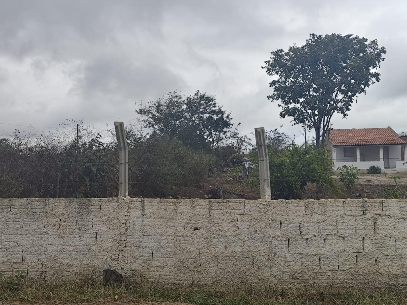 Terreno, 2500 m² - Foto 5