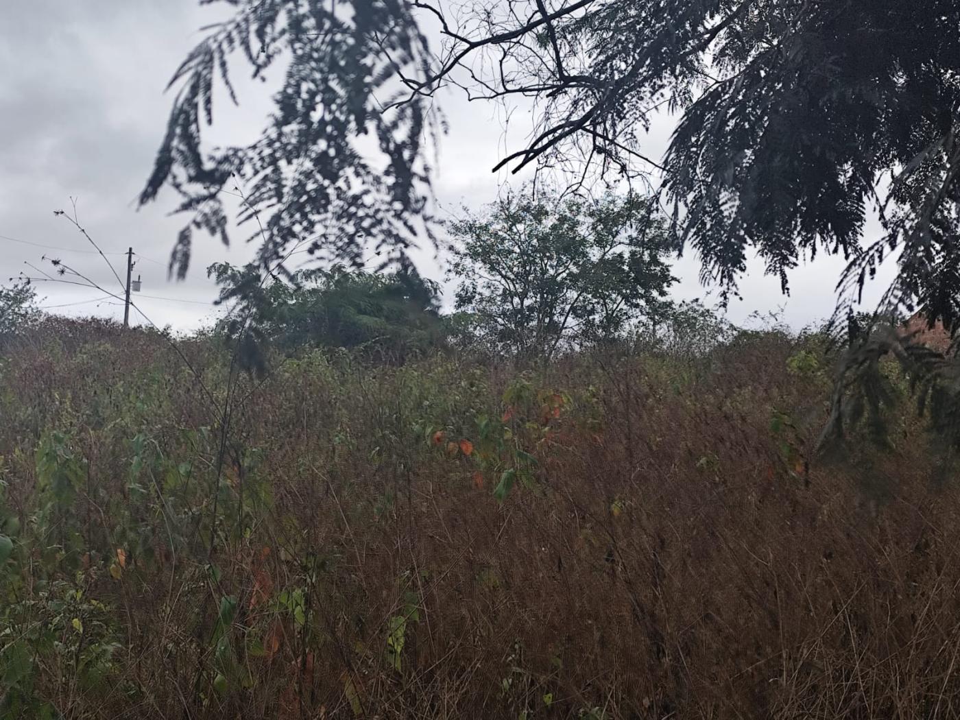 Terreno, 2500 m² - Foto 4