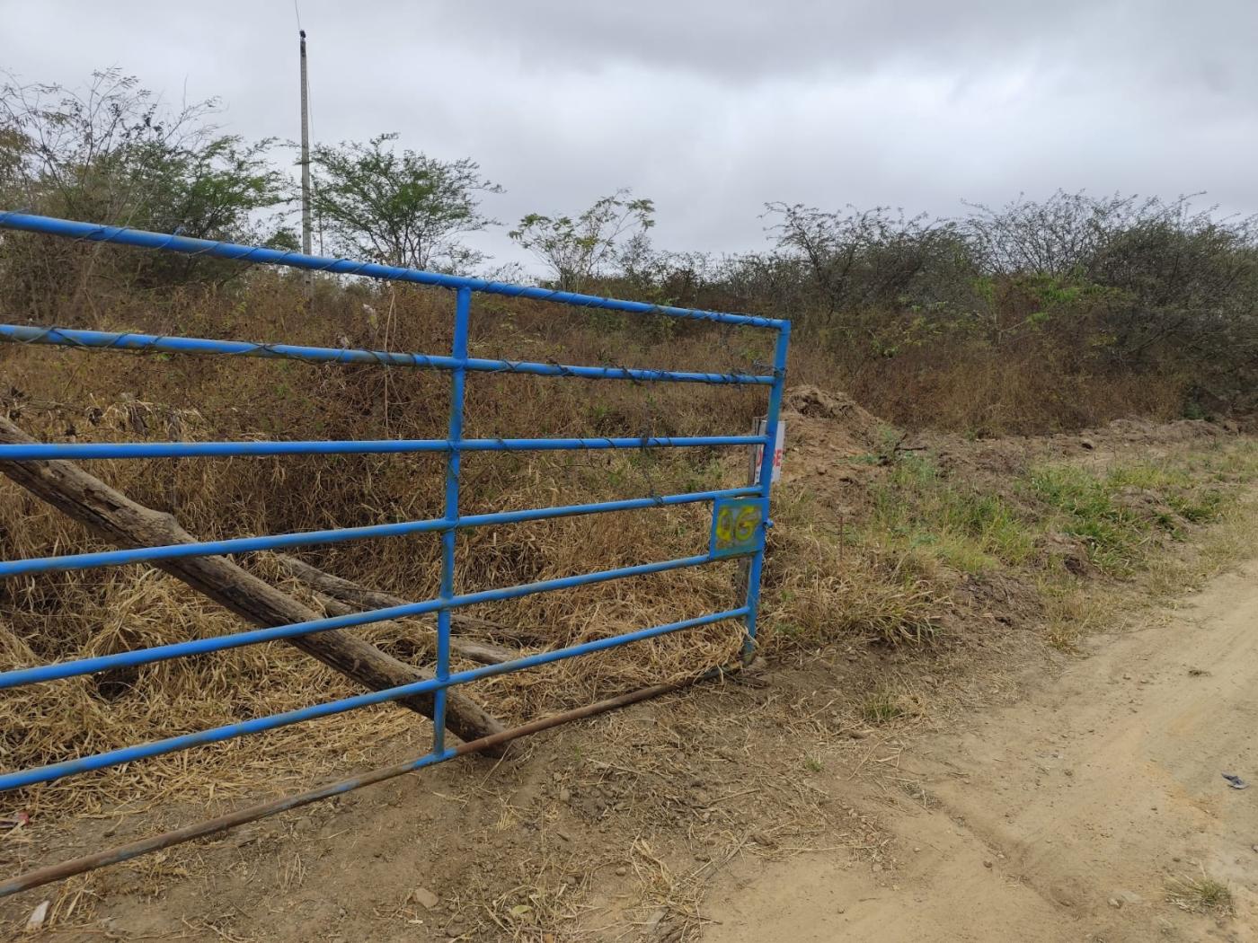 Terreno, 2500 m² - Foto 2