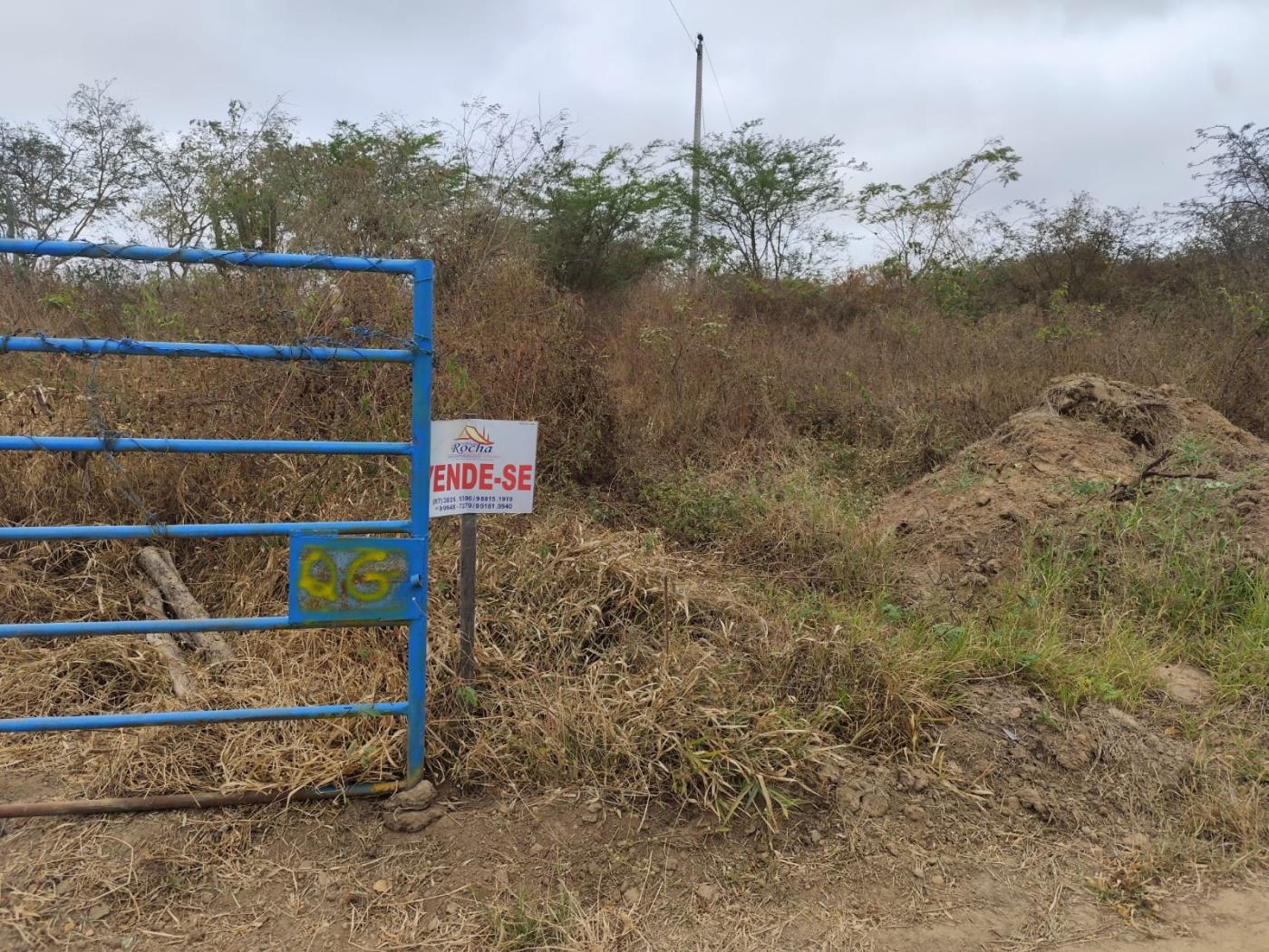 Terreno, 2500 m² - Foto 1