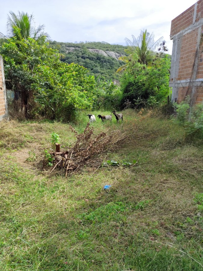 Terreno, 1000 m² - Foto 8