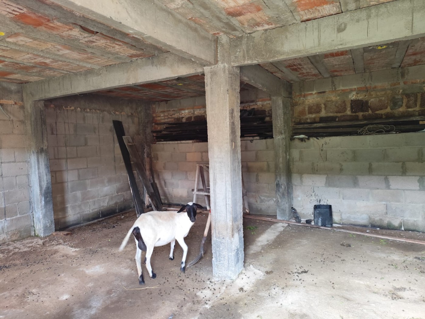 Terreno, 1000 m² - Foto 6