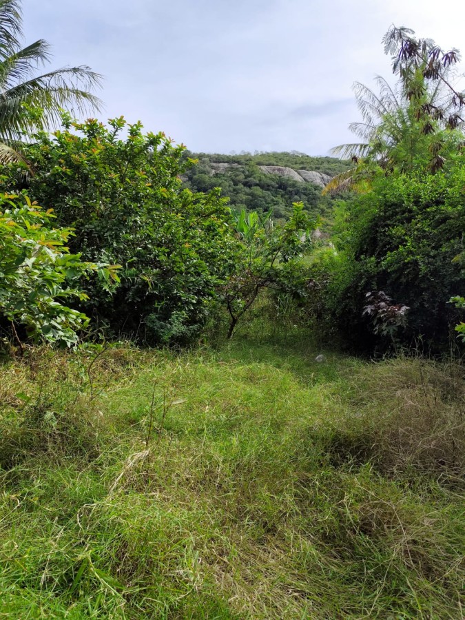 Terreno, 1000 m² - Foto 9