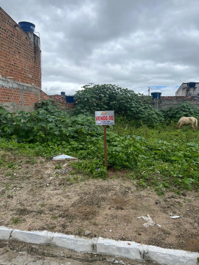 Terreno, 200 m² - Foto 1