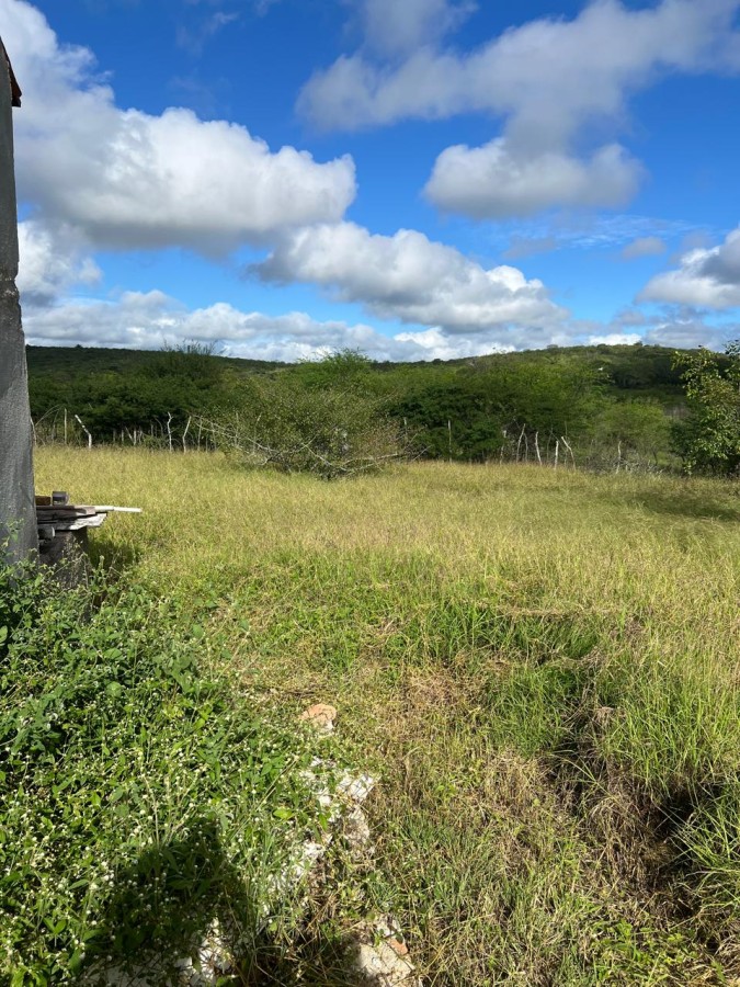 Terreno, 5000 m² - Foto 4