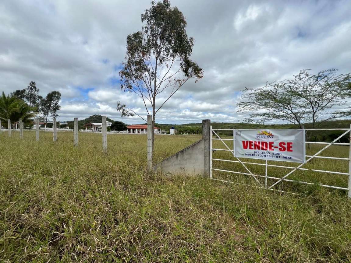 Terreno, 5000 m² - Foto 2