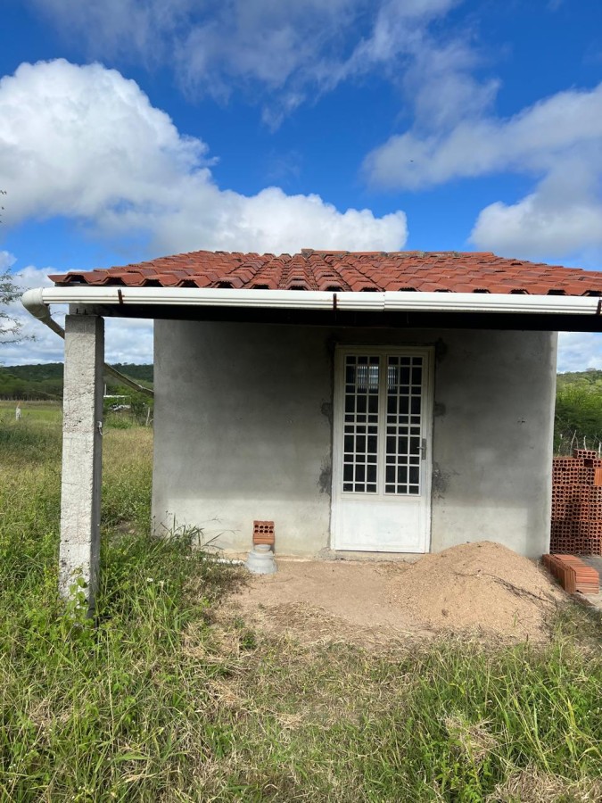 Terreno, 5000 m² - Foto 3