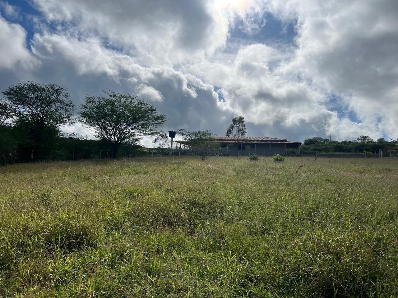 Terreno, 5000 m² - Foto 6