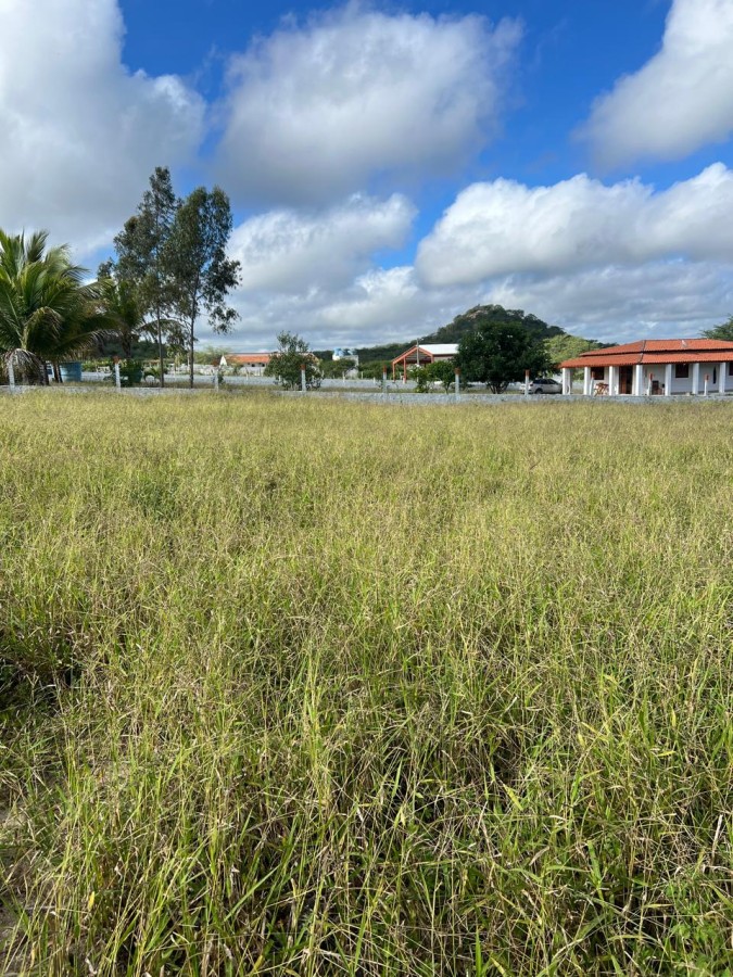 Terreno, 5000 m² - Foto 7