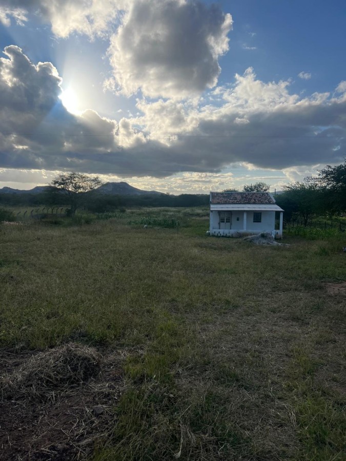 Sítio, 2 quartos, 5000 m² - Foto 5