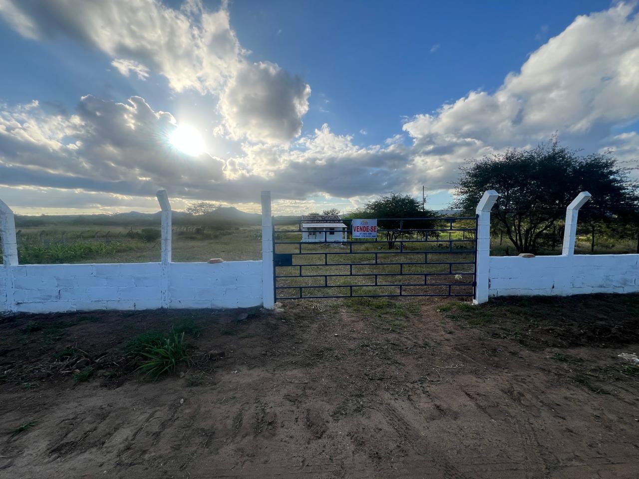 Sítio, 2 quartos, 5000 m² - Foto 2