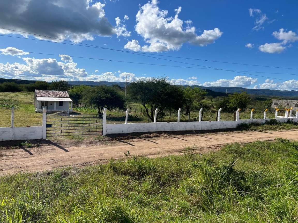 Sítio, 2 quartos, 5000 m² - Foto 4