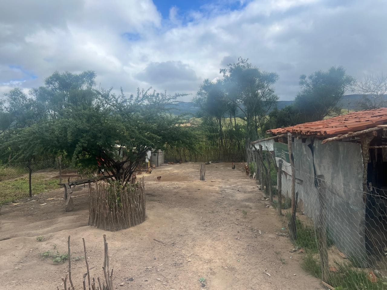 Terreno, 700 m² - Foto 5