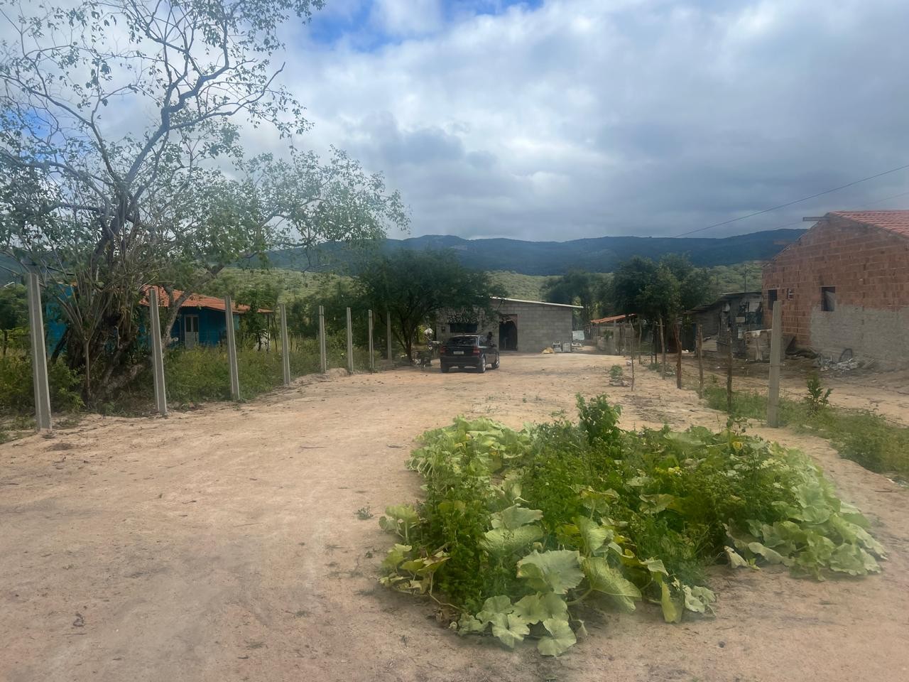 Terreno, 700 m² - Foto 7