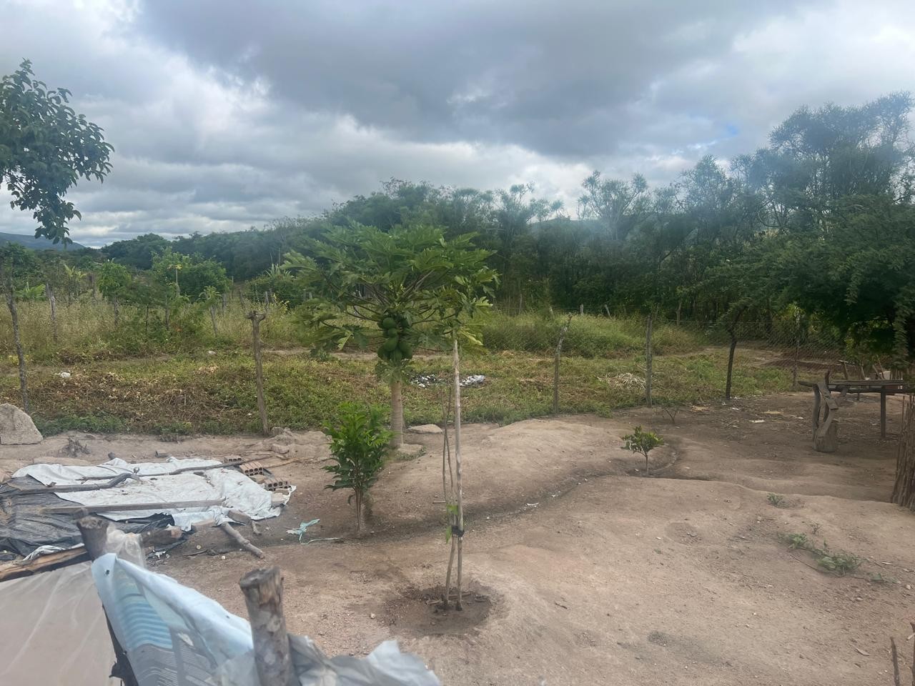 Terreno, 700 m² - Foto 6