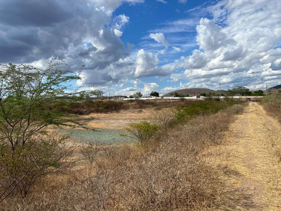 Sítio, 25 hectares - Foto 9