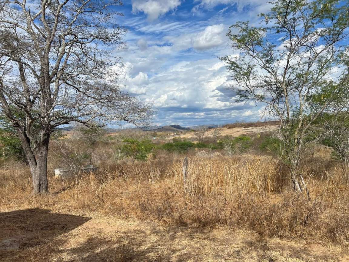 Sítio, 25 hectares - Foto 11