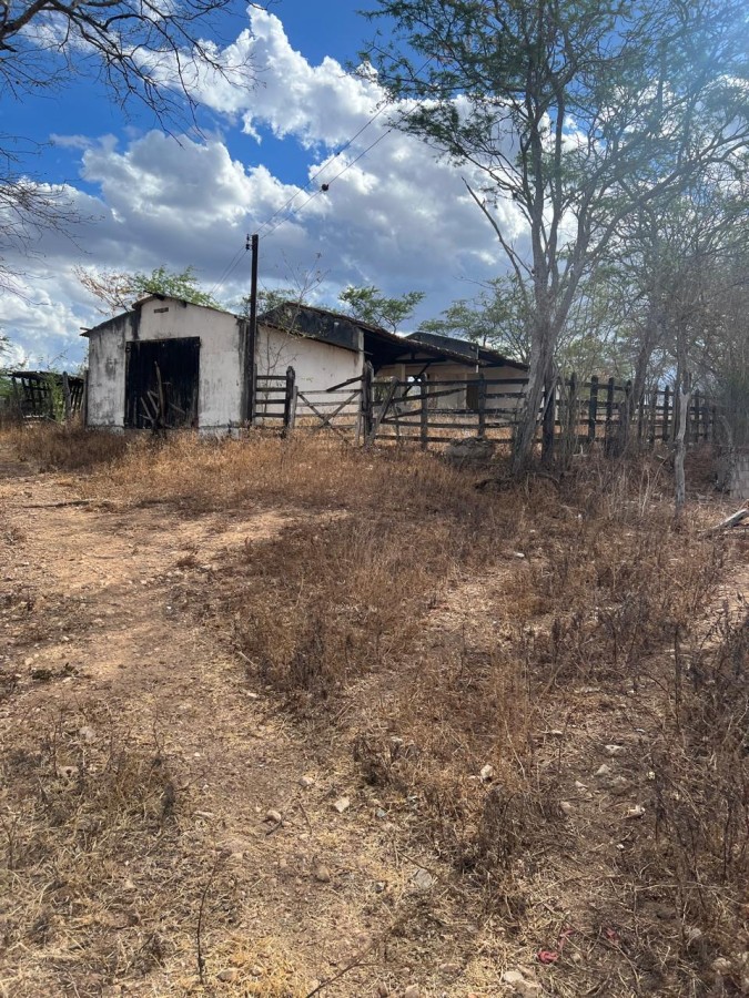 Sítio, 25 hectares - Foto 13