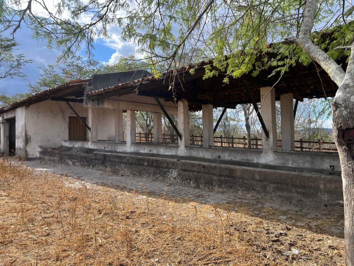 Sítio, 25 hectares - Foto 7