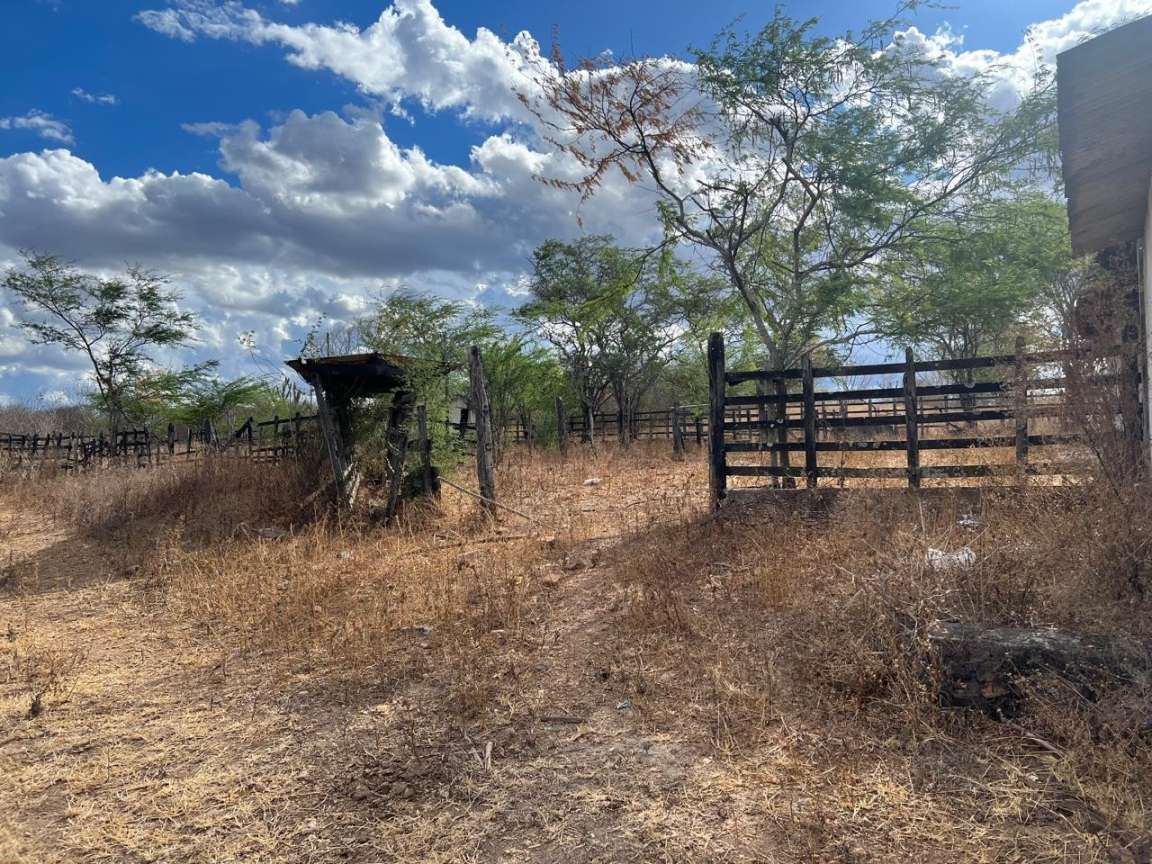 Sítio, 25 hectares - Foto 12