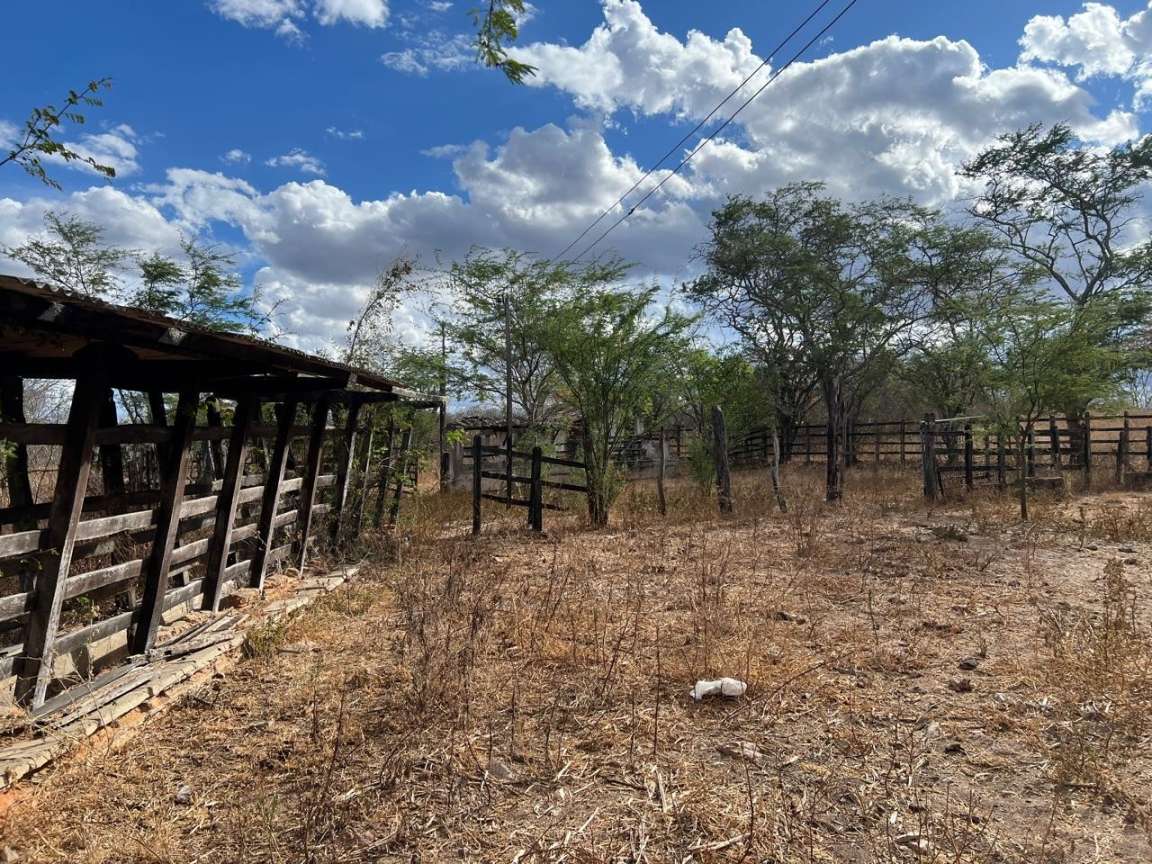 Sítio, 25 hectares - Foto 8