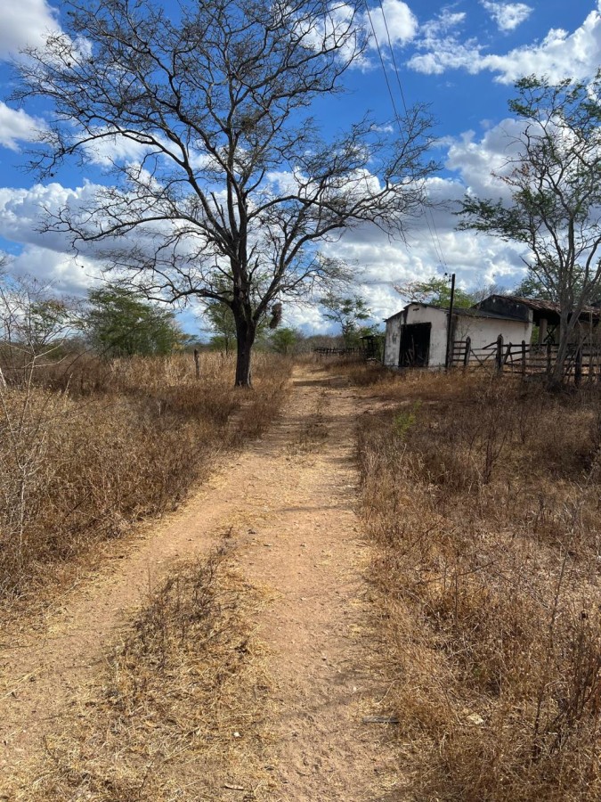 Sítio, 25 hectares - Foto 14