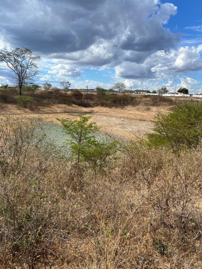 Sítio, 25 hectares - Foto 10