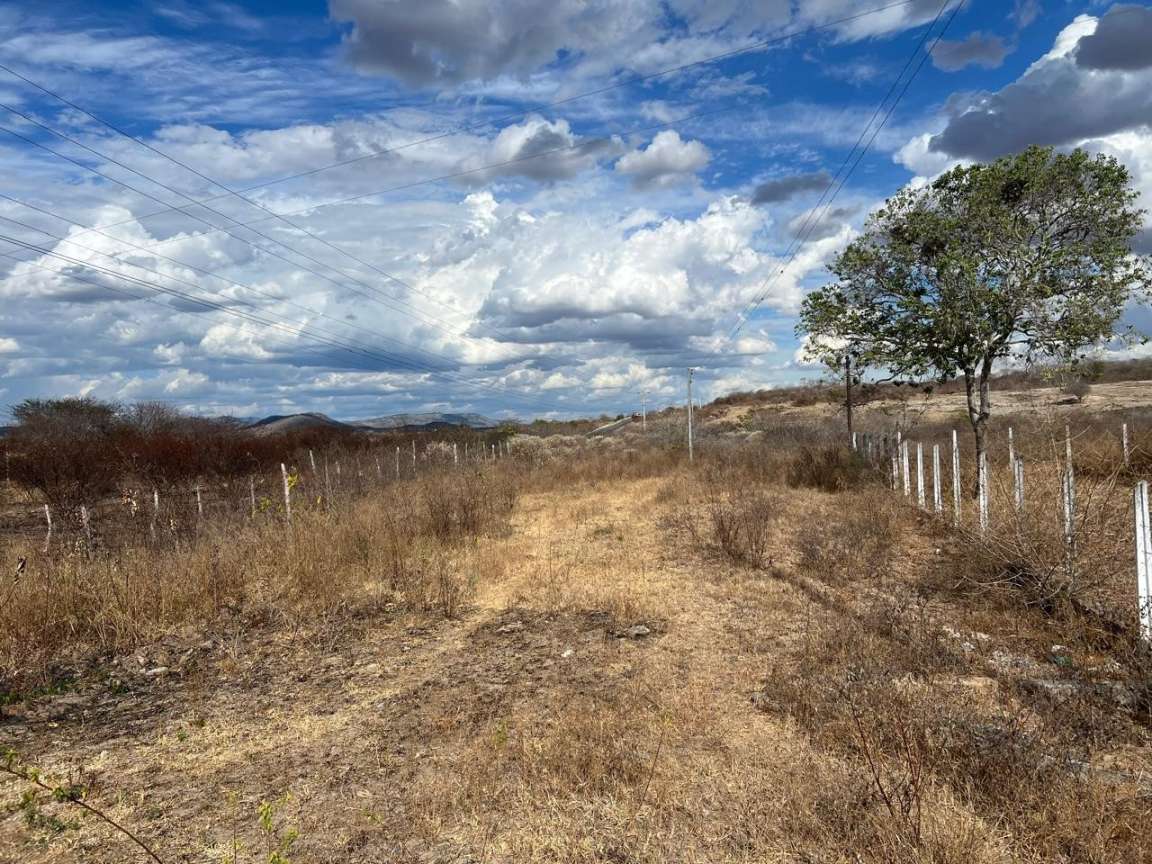 Sítio, 25 hectares - Foto 16