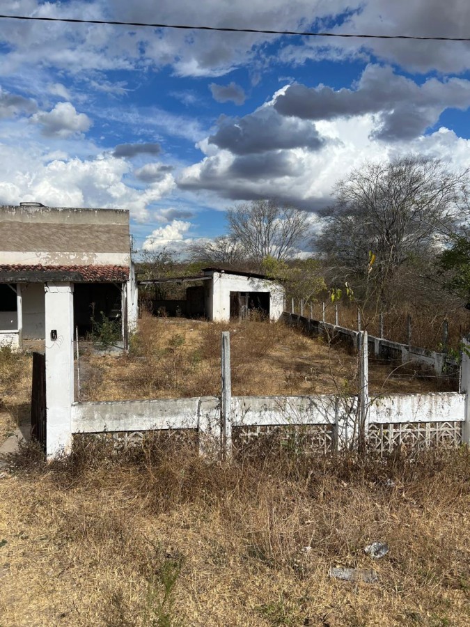 Sítio, 25 hectares - Foto 5