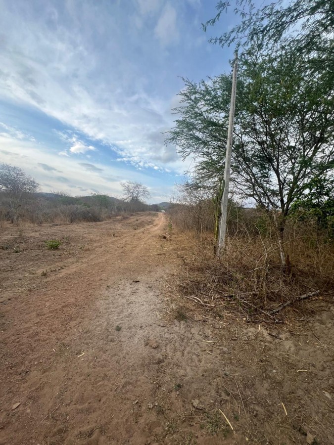 Chácara, 3 quartos, 1000 m² - Foto 16