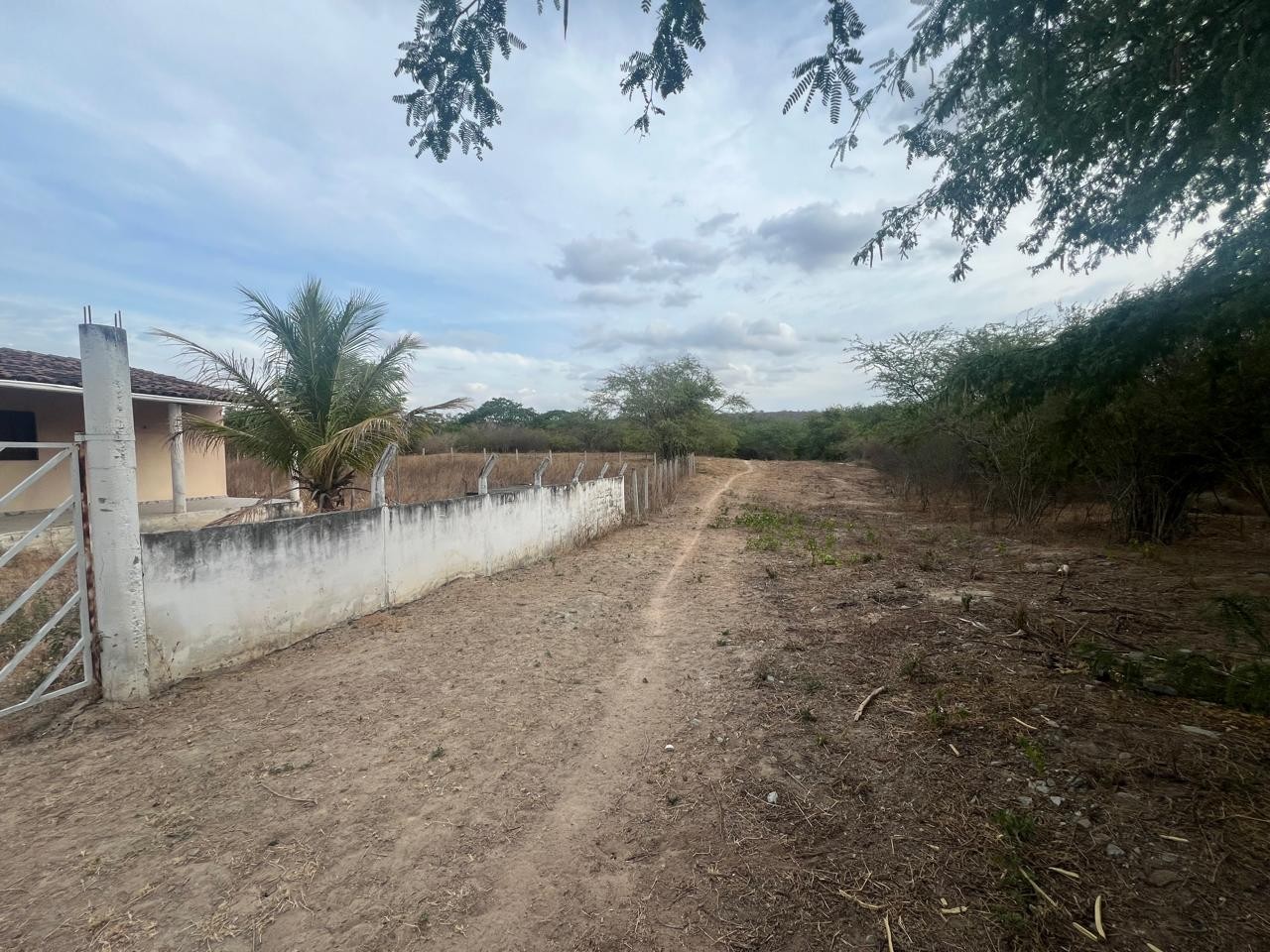 Chácara, 3 quartos, 1000 m² - Foto 17