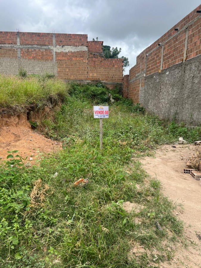 Terreno, 100 m² - Foto 2