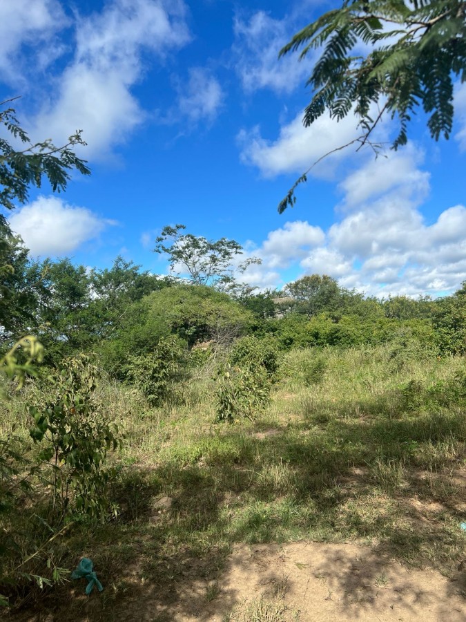 Terreno, 12 hectares - Foto 1