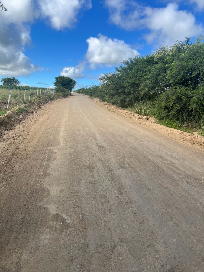 Terreno, 12 hectares - Foto 3