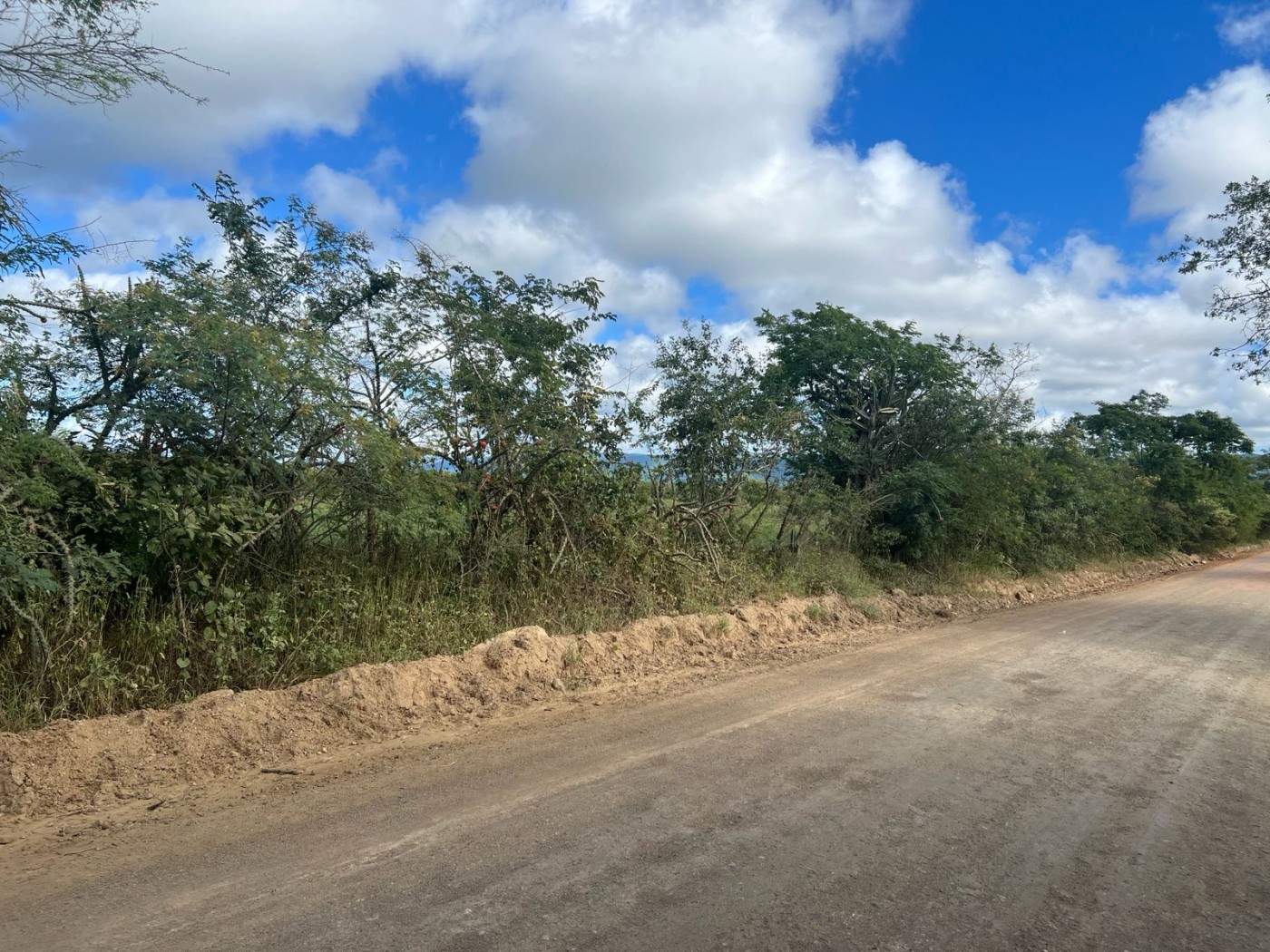 Terreno, 12 hectares - Foto 4