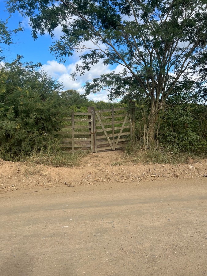 Terreno, 12 hectares - Foto 2