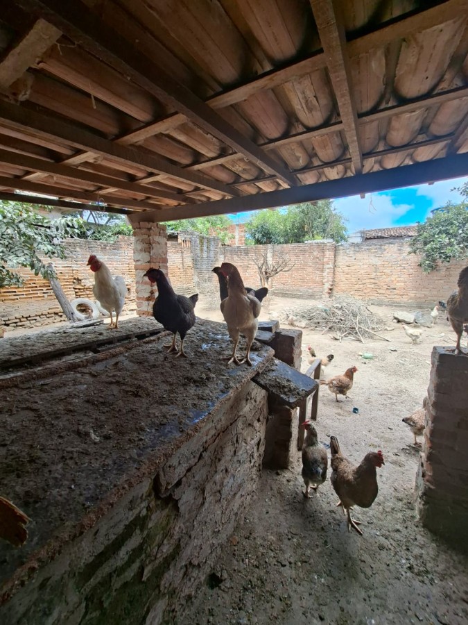 Terreno, 200 m² - Foto 6