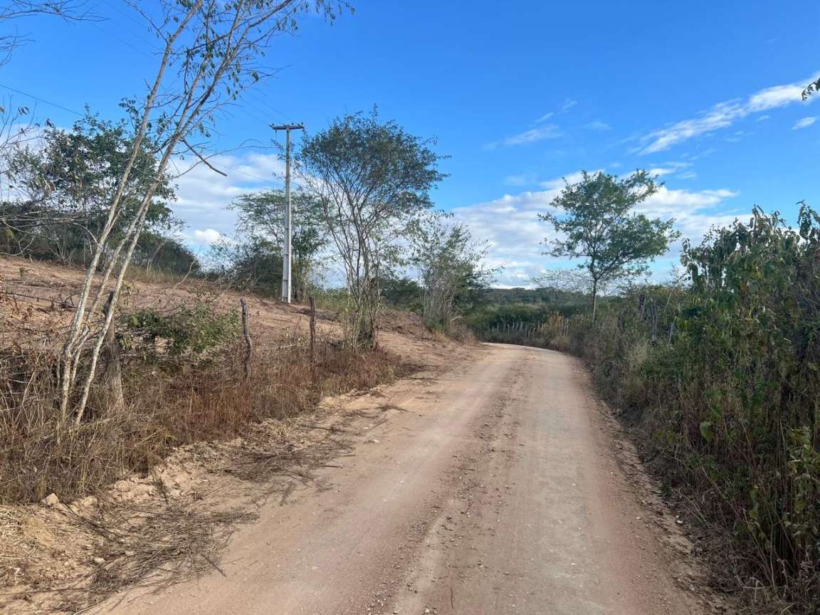 Terreno, 1 hectares - Foto 11